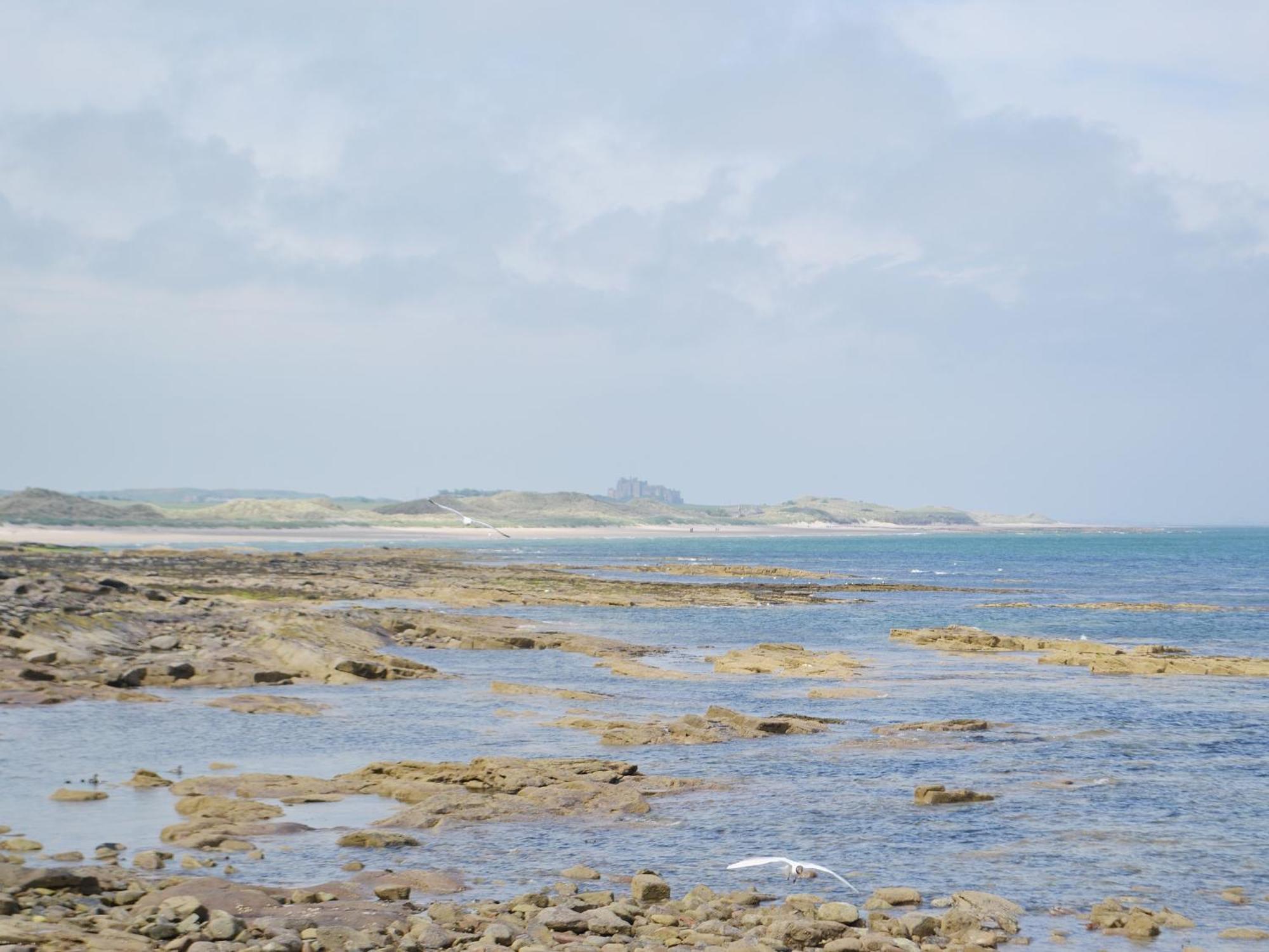 Daisy Cottage Seahouses Eksteriør bilde
